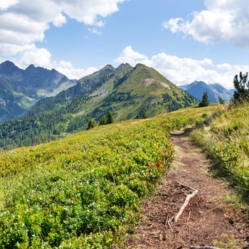 Vandresti i Planai bjergene nær Schladming, Østrig