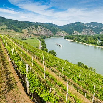 Wachau dalen med vinmarker ved Donau floden, Østrig