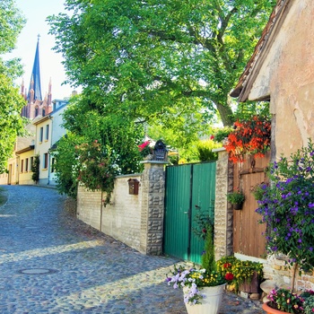 Hyggelig gade i Potsdam, Brandenburg i Tyskland