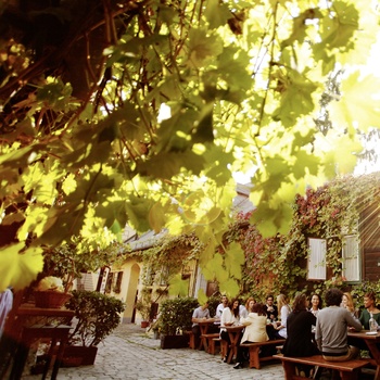 Schuebel-Auer Wine Tavern © WienTourismus/Peter Rigaud
