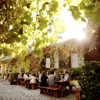 Schuebel-Auer Wine Tavern © WienTourismus/Peter Rigaud