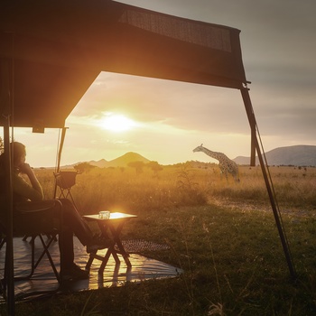 Glamping i Afrika
