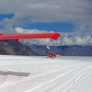 Landing på gletsjer i Denali National Park - Alaska
