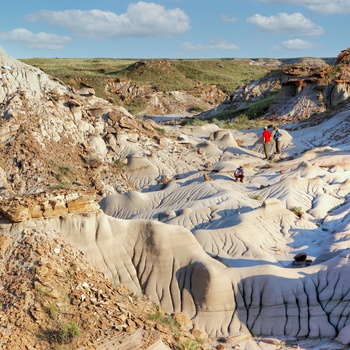 Dinosaur Provincial Park - Alberta i Canada