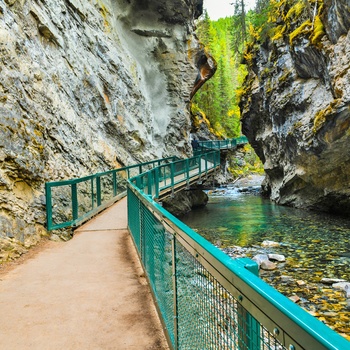 Gangbro gennem Johnston Canyon i Banff National Park, Alberta i Canada