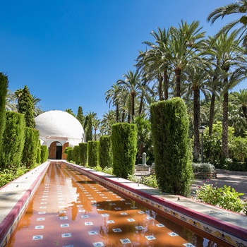 Palmelunden Palmeral of Elche i UNESCO Visitor Center, Alicante