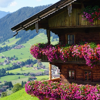 Alpehytte med blomster i Østrig