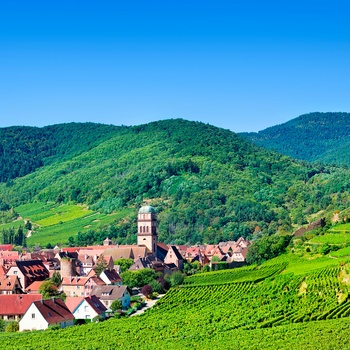 Vinbyen Kaysersberg i Alsace, Frankrig