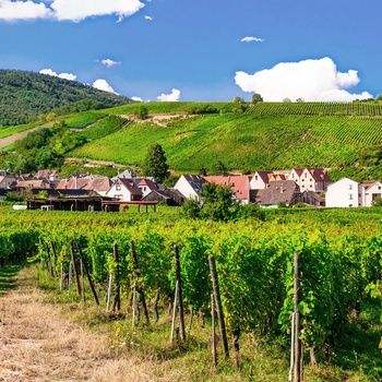 Landsby og vinmarker langs vinruten i Alsace