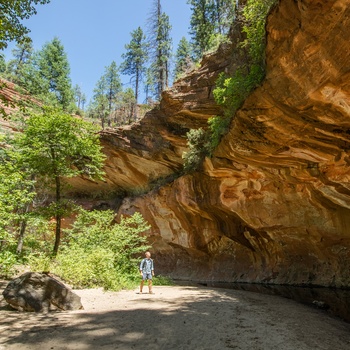 West Fort vandreruten i Oak Creek Canyon i Arizona, USA