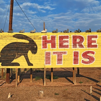 Jack Rabbit Trading Post - ikonisk skilt på Route 66 i Arizona
