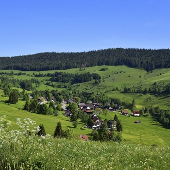 Udsigt i Todtmoos © Hochschwarzwald Tourismus GmbH