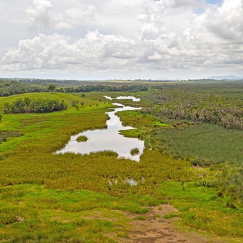 Eubenangee Wetlands i Queensland - Australien
