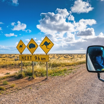 Autocamper gennem the Nullabor i South Australia - Australien