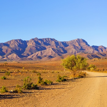 Dirt Road mod Flinders Ranges i South Australia