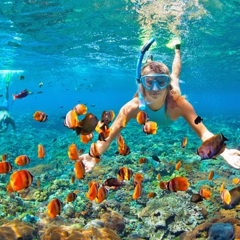 Kvinde snorkler, Australien