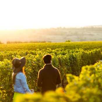 Ungt par i vinmark ved solnedgang, Australien