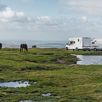 Heste tæt på autocampere i Dartmoor Park, Devon, England