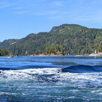 Skookumchuck Narrows Provincial Park - British Columbia