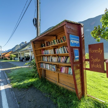Bogbyen Fjærland Foto Vegard Aasen-Fjordnorge