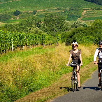 Kør-selv-ferie i Alsace det nordøstlige Frankrig FDM