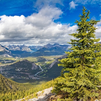 Panoramaudsigt til Banff og Bow Valley - Alberta - Canada