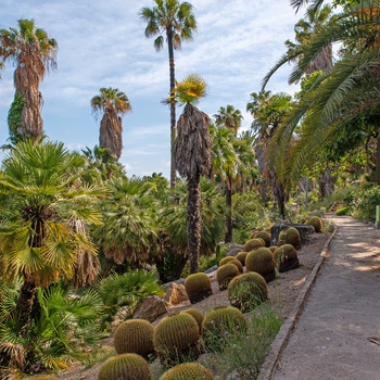 Den botaniske have Jardins de Mossèn Costa i Montjuic, Barcelona