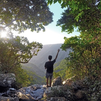 Mand på vandretur i Black River Gorges National Park, Mauritius