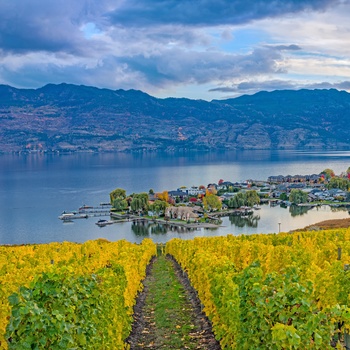 Vinmarker ved Kelowna og Okanagan søen i British Columbia, Canada