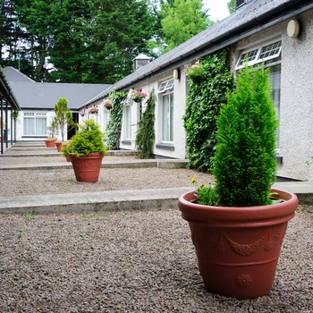 Brown Trout Inn exterior