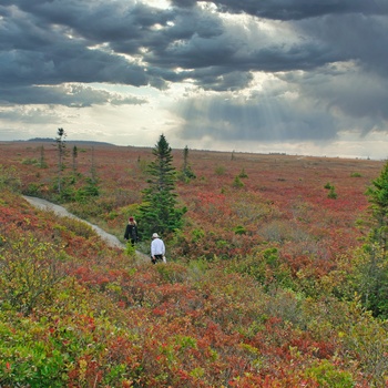 På vandring i Kejimkujik National Park i Nova Scotia