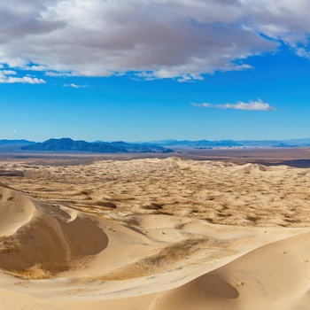 Sandklitterne Kelso Dunes i Mojave National Preserve, Californien