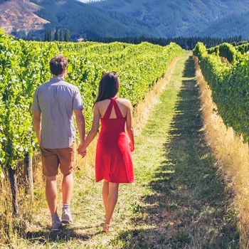 Ungt par går gennem en vinmark i Californien