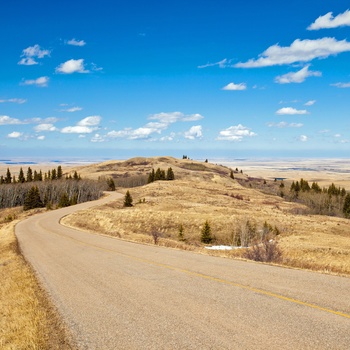 Vej gennem Cypress Hills Interprovincial Park - Canada