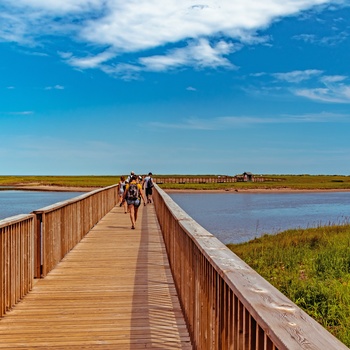 Gangbroen til Kelly Beach i Kouchibouguac National Park, New Brunswick i Canada