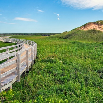 Vandresti på Prince Edward Island National Park, New Brunswick i Canada