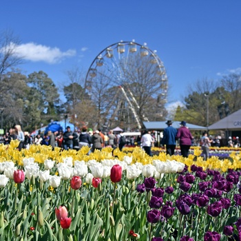 Commonwealth Park i Canberra, Australien
