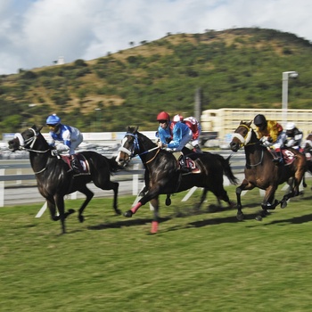 Hestevæddeløb på Champ de Mars væddeløbsbane i Port Louis, Mauritius