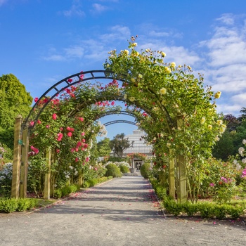 Hagley Park i Christchurch