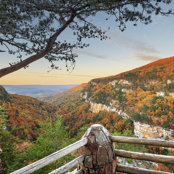Cloudland Canyon i Georgia, USA