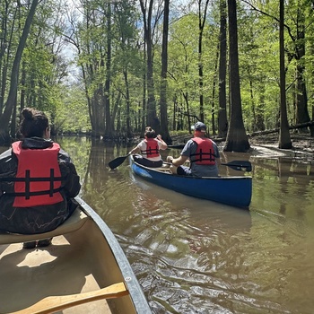 Turister på kanotur i Congaree National Park i South Carolina - USA
