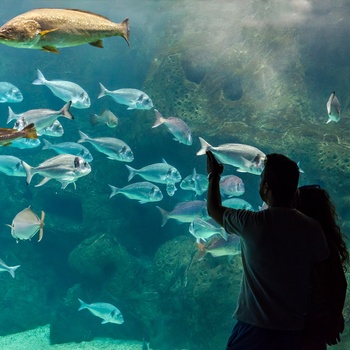 CretAquarium i Thalassokosmos - Kreta