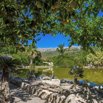 Den Botaniske Have på Kreta - Grækenland