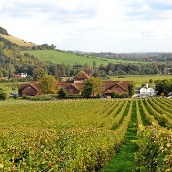 Denbies Wine Estate Surrey Sydengland