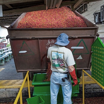 Doka Estate - kaffeplantage i Costa Rica
