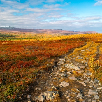 Efterår i Pallas–Yllästunturi Nationalpark