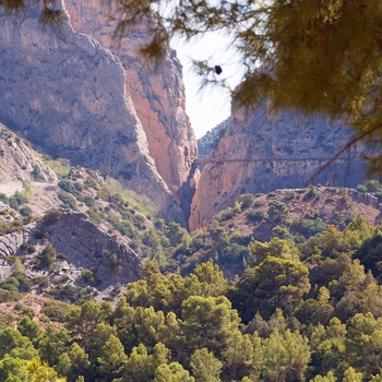 El Caminito del Rey eller The King's Little Path - en vandretur i kløften El Chorro - Andalusien