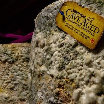 England, Somerset - Cheddar ost modnet i underjordisk hule (Foto - Visit Somerset)