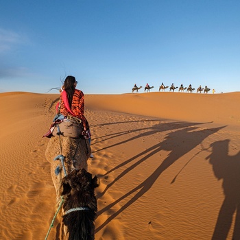 På kameltur i Erg Chebbi - ørkenområde nær Merzouga - Marokko