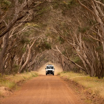 Exception Kangaroo Island